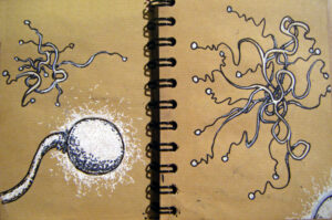 dessin-009